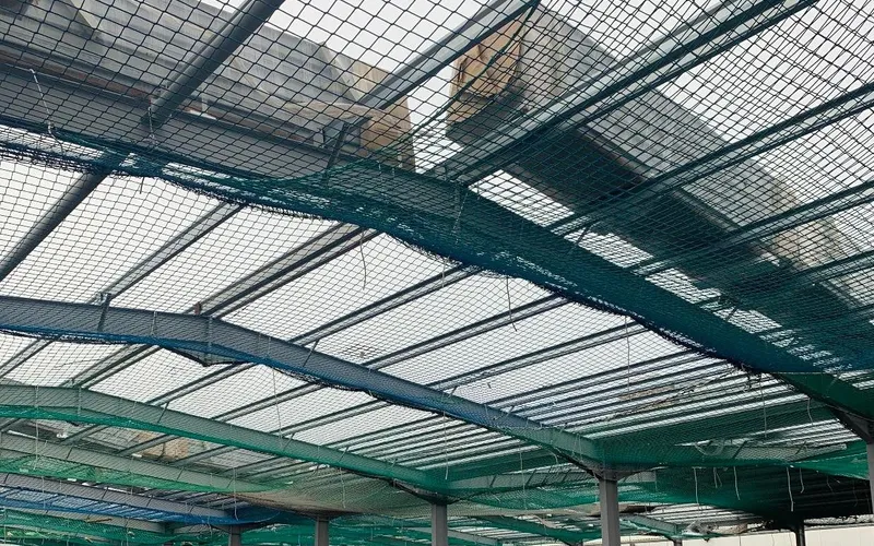 Green FASET safety netting rigged beneath a steel-frame roof during construction